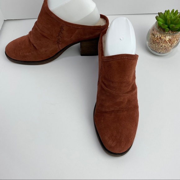 bearpaw mules